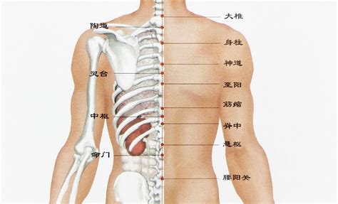 背部痣吉凶|后背有痣命苦是吗？